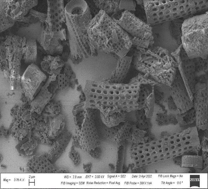 Academic Reflection - Shahabaj